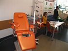 Obstetrica Ginecologie Timisoara